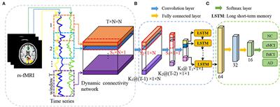 Convolutional Recurrent Neural Network for Dynamic Functional MRI Analysis and Brain Disease Identification